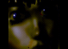 ooo9.GIF (19449 �ֽ�)