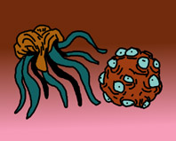 6.jpg (16892 �ֽ�)