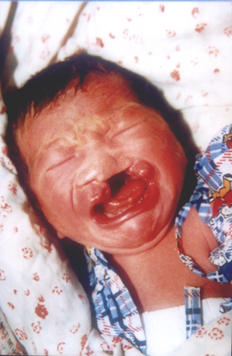 baby1.jpg (89805 �ֽ�)