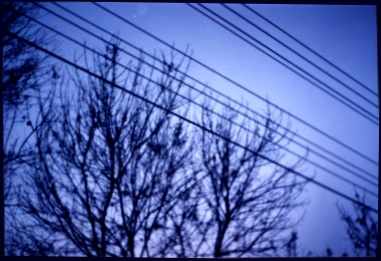 00090.jpg (15904 �ֽ�)