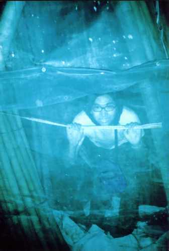 funny.JPG (13620 �ֽ�)