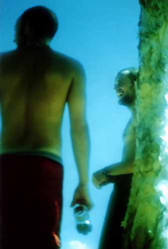 seaman.JPG (10898 �ֽ�)