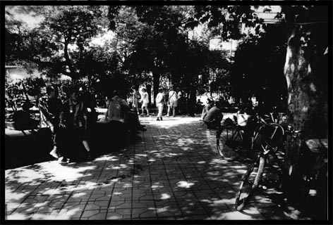 14.jpg (25574 bytes)