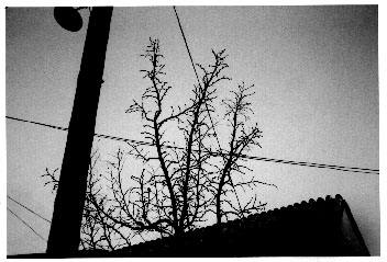 2.jpg (32746 �ֽ�)