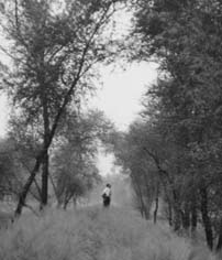 lost.jpg (14867 �ֽ�)