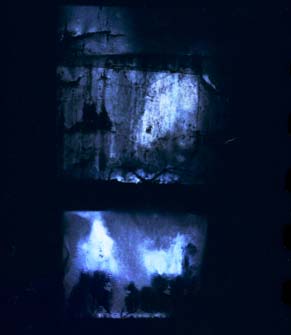 013.jpg (11403 �ֽ�)