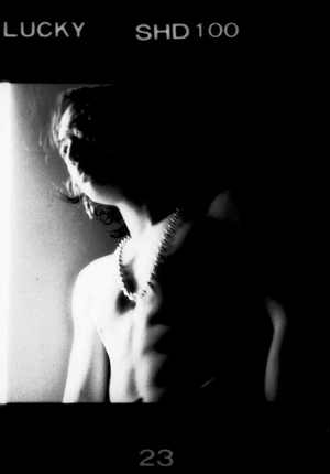 17.jpg (5603 �ֽ�)