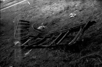 34.jpg (14129 �ֽ�)