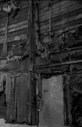 46.jpg (11046 �ֽ�)