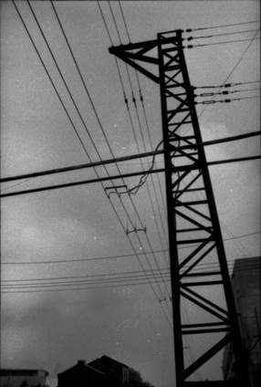 59.jpg (14255 �ֽ�)