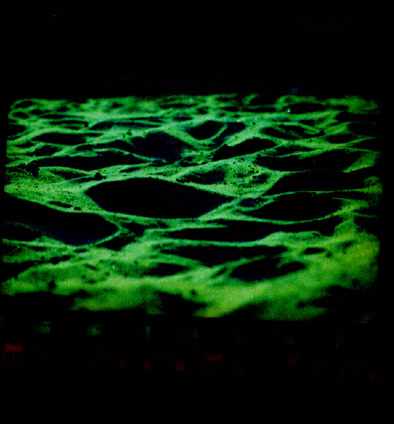 69.jpg (13715 �ֽ�)