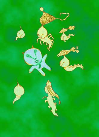 0001.jpg (13178 bytes)