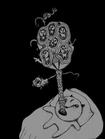 0ta8.jpg (14926 bytes)