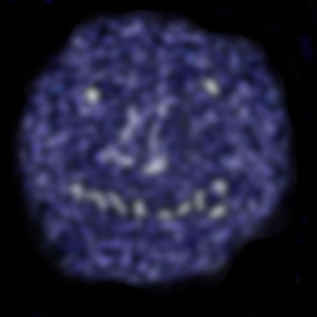 blues2.jpg (15216 �ֽ�)