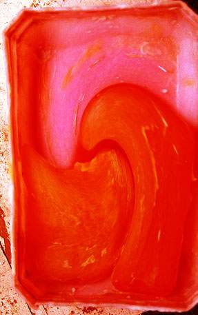 fz08.JPG (17671 �ֽ�)