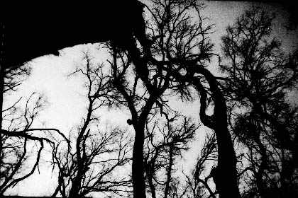 001.jpg (26081 �ֽ�)