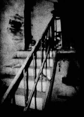 005.jpg (14319 �ֽ�)