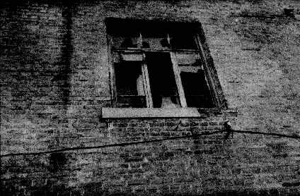 009.jpg (25541 �ֽ�)