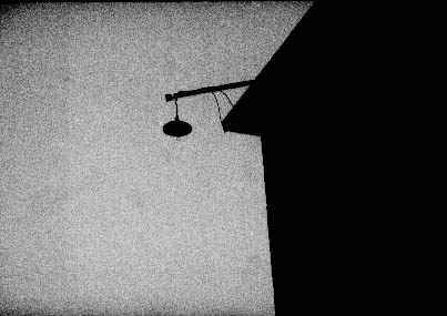 010.jpg (10703 �ֽ�)