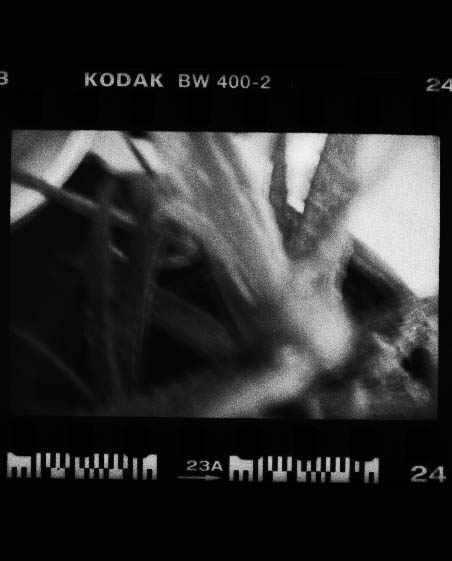 011.jpg (28009 �ֽ�)