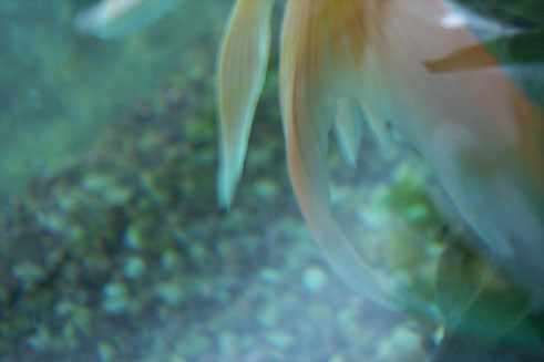 014.jpg (24686 �ֽ�)