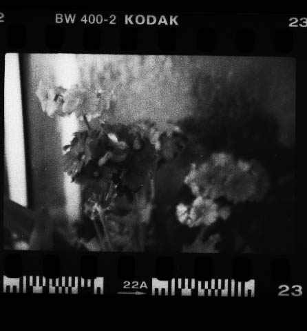 016.jpg (27485 �ֽ�)