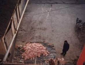 ot.JPG (9973 �ֽ�)