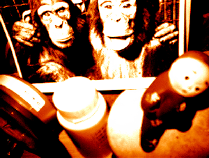 intomyhome4.gif (71716 �ֽ�)