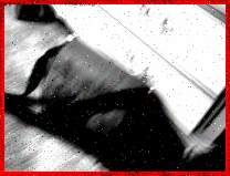 j1.jpg (6880 �ֽ�)