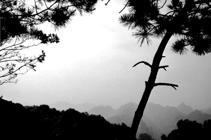 shan3.jpg (63132 �ֽ�)