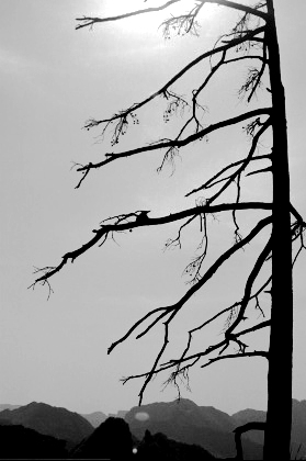 shan4.jpg (64790 �ֽ�)