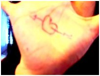 t6.jpg (7305 �ֽ�)