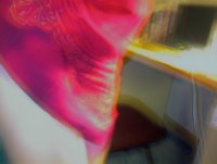 wb.jpg (5836 �ֽ�)