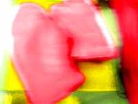 x10.jpg (3256 �ֽ�)