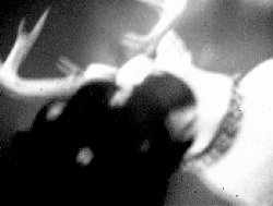 x31.jpg (4043 �ֽ�)