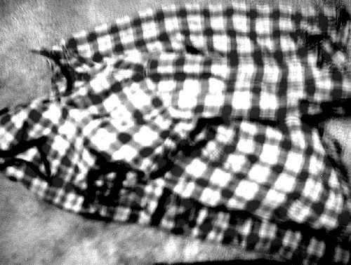 jacket.jpg (30857 bytes)