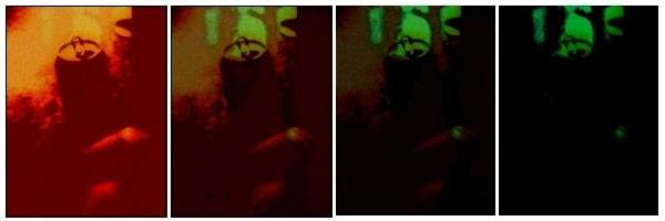 playful.jpg (12151 bytes)