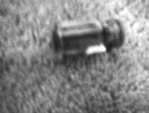 yao.jpg (23053 bytes)