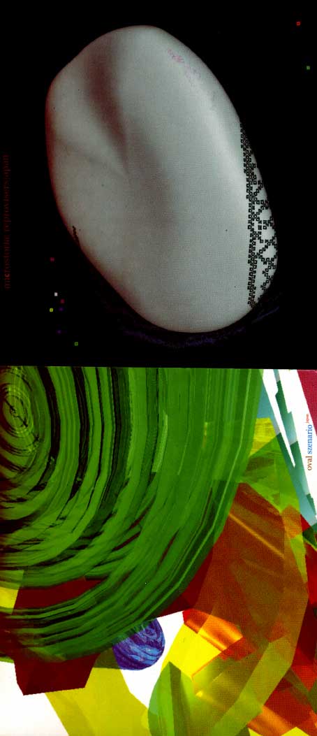 0002.jpg (41771 bytes)